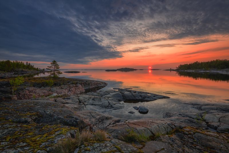 Тихое утро... фото превью