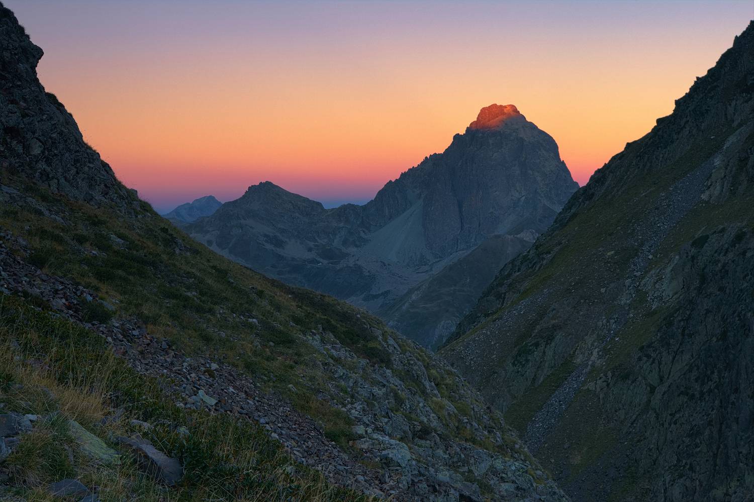 , Wojciech Tarnowski