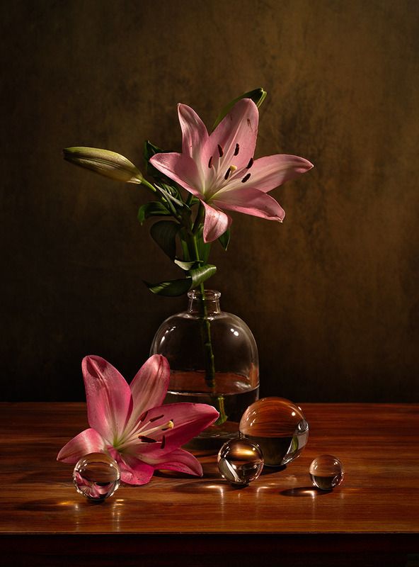 --------------- фото превью