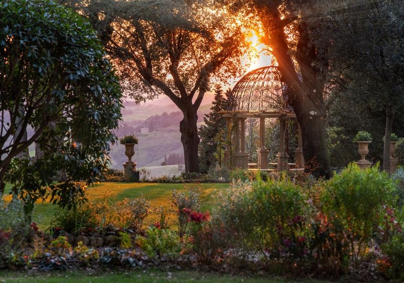 В лучах света... фото превью