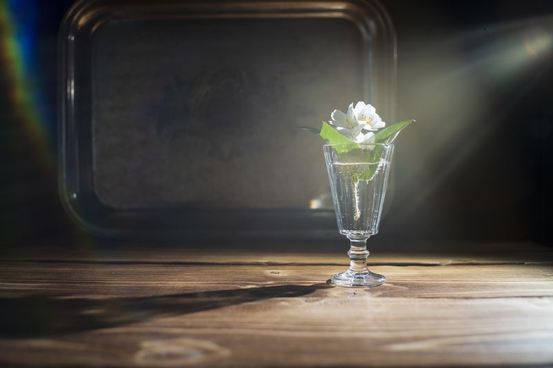 натюрморт, цветы, вазы, тень, стекло, жасмин Жасмин фото превью