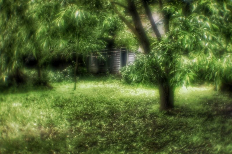 Монокль Светопись монокля фото превью