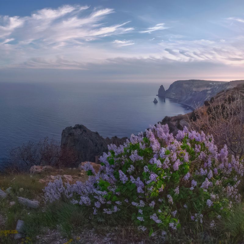 севастополь, крым, seascape, пейзаж, crimea, landscape, морской пейзаж, фиолент, закат Сиреневый вечер фото превью