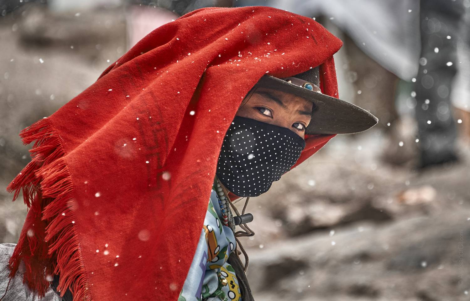 , Гиль Александр