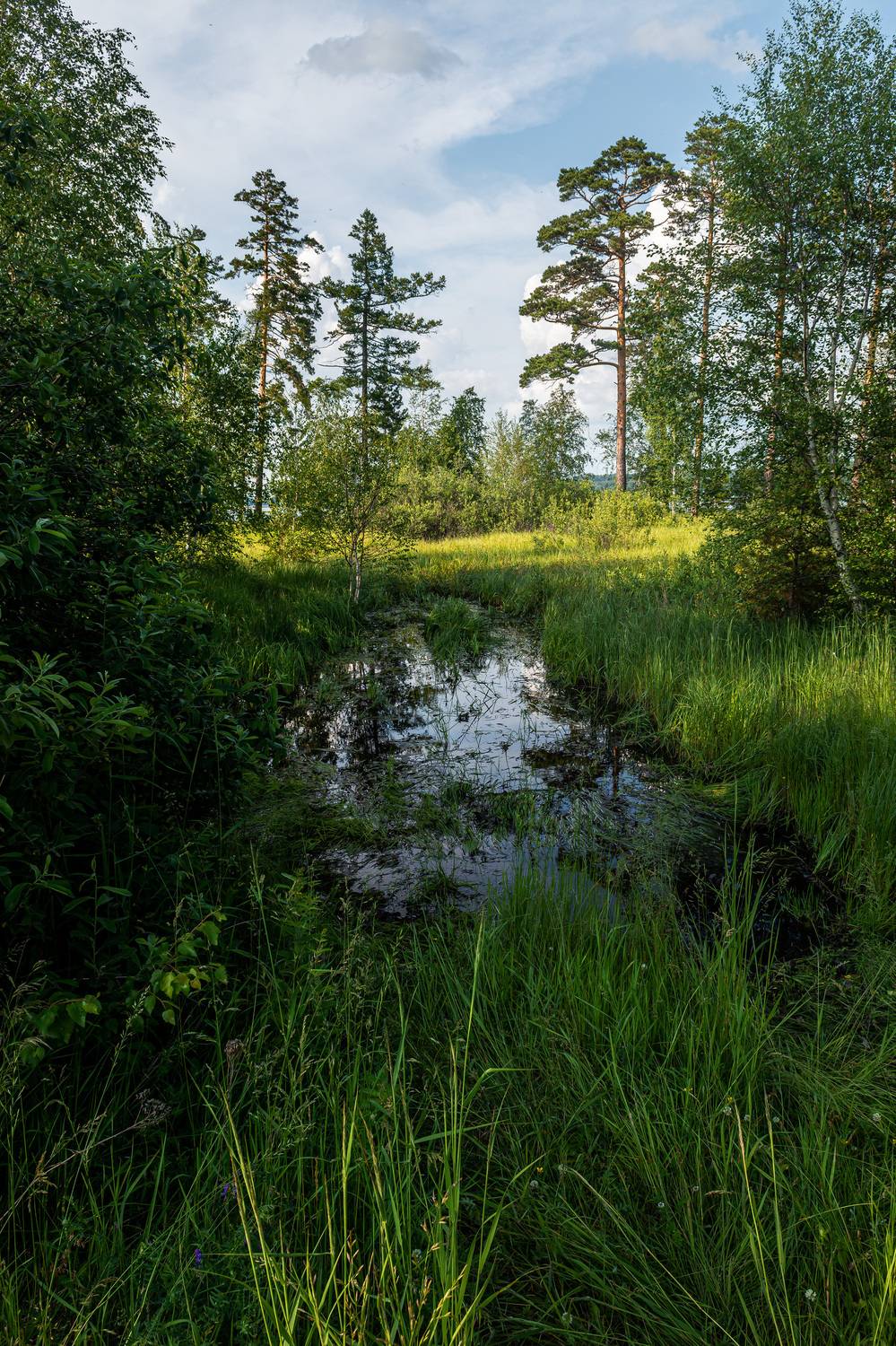 , Андрей Шарапов
