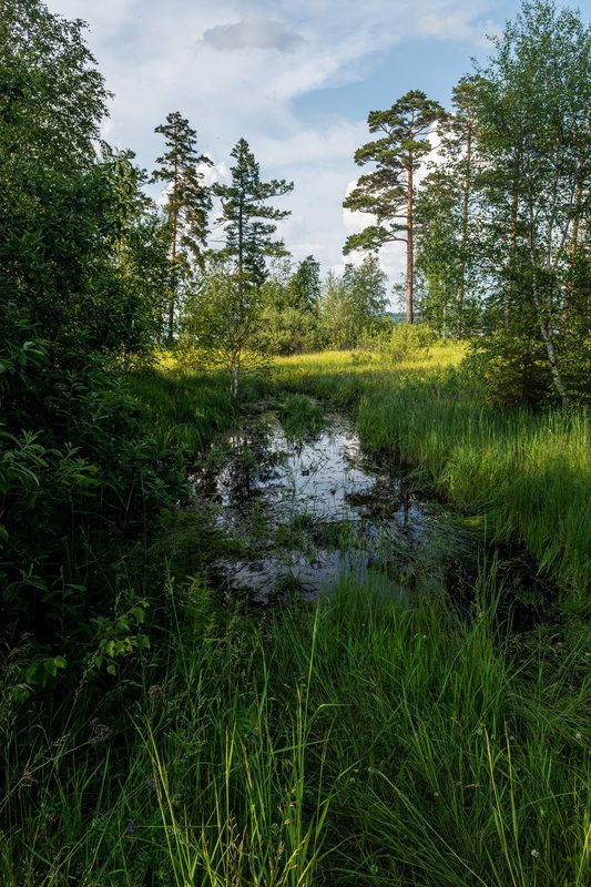 ******* фото превью