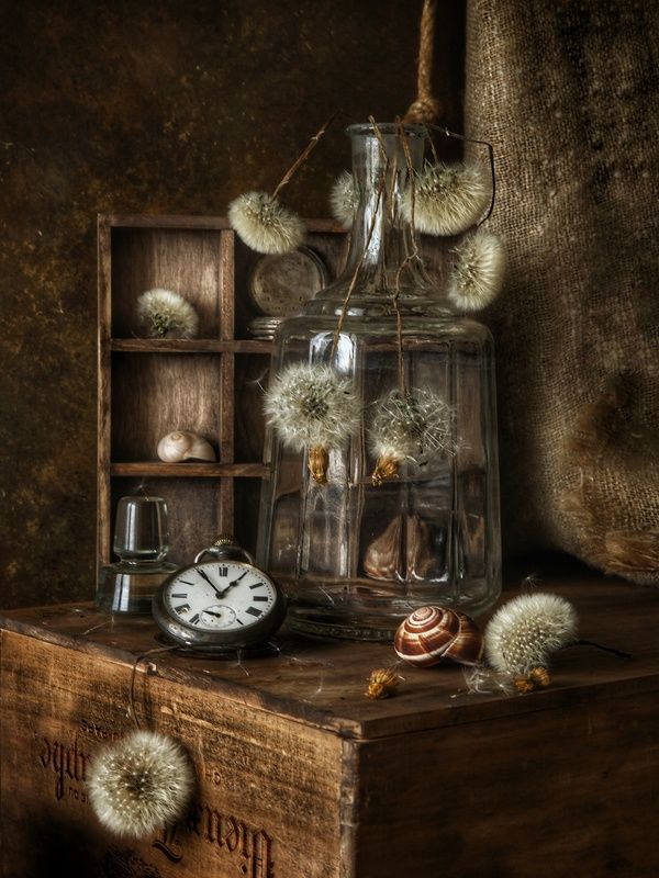 Одуванчики  фото превью