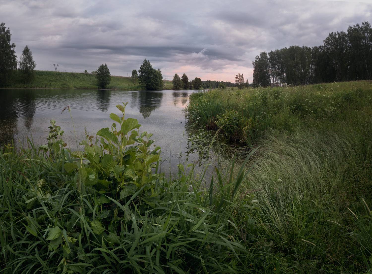 лес, свет, утро, природа, Баранов Олег