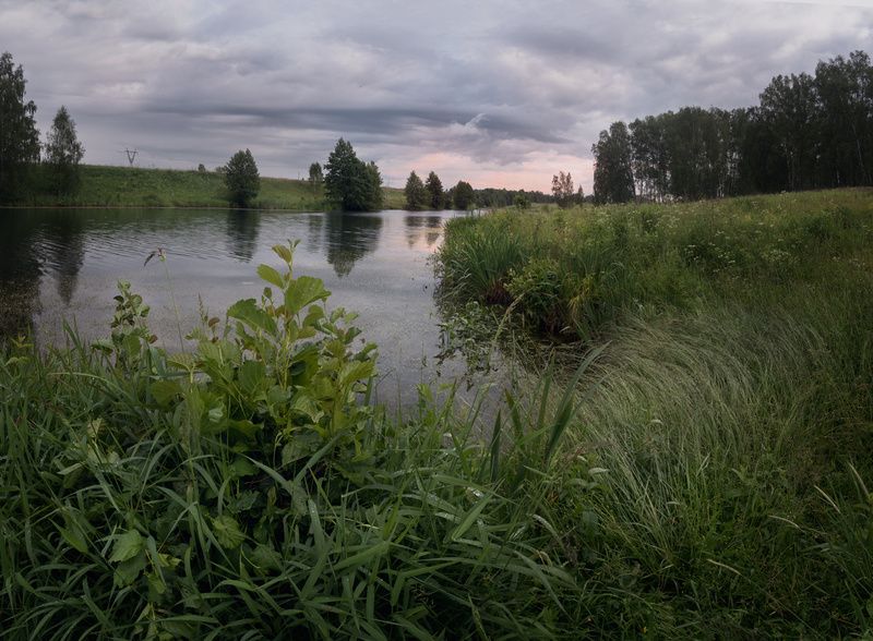 лес, свет, утро, природа *** фото превью