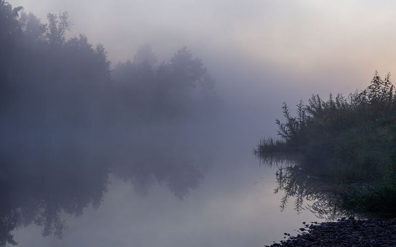 Ёжик в тумане фото превью