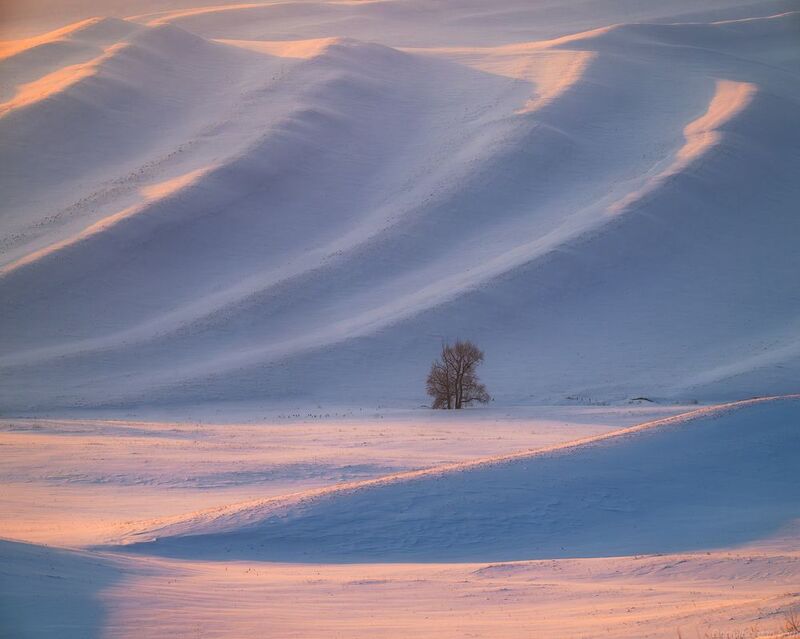 Долгие Горы