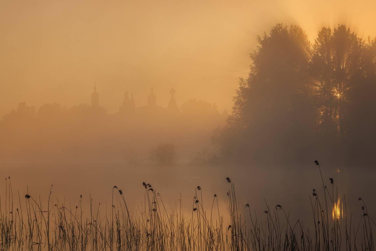 ферапонтово, туман, рассвет, Морозов Сергей