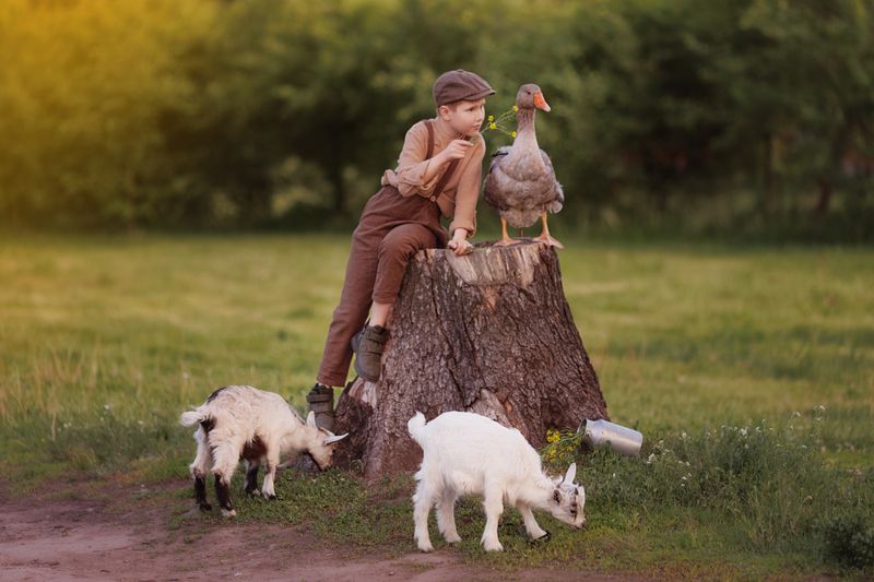 фото превью