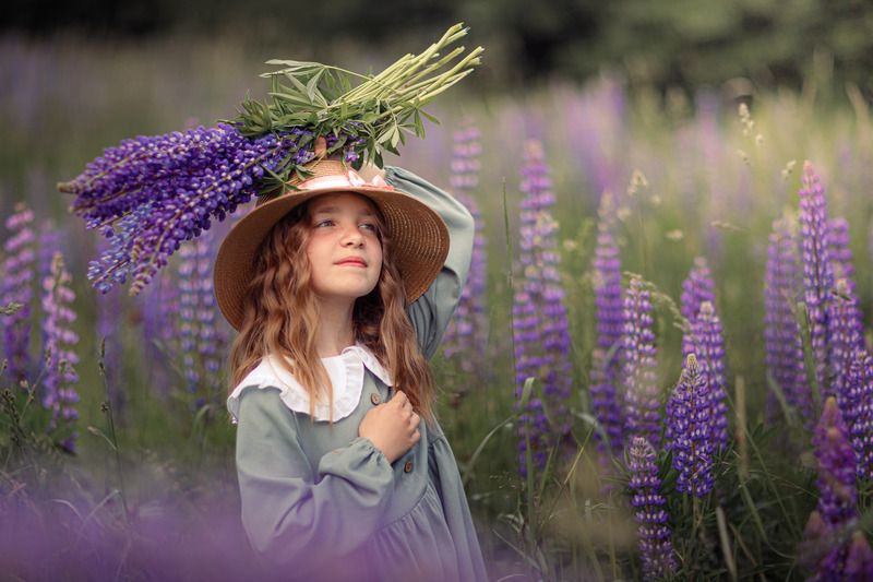 валдай «А там ещё немного, и Прованс...» фото превью