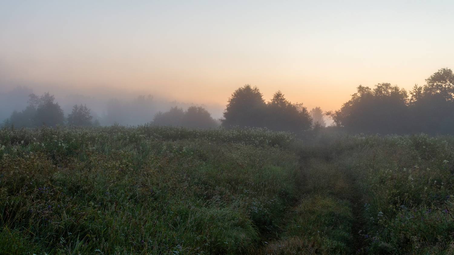 , Комарова Вера