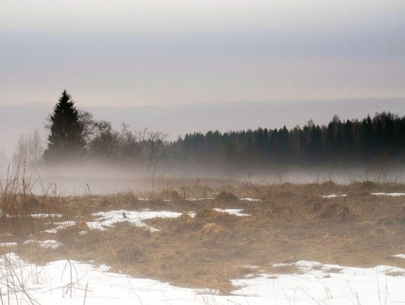 Весенний пейзаж фото превью
