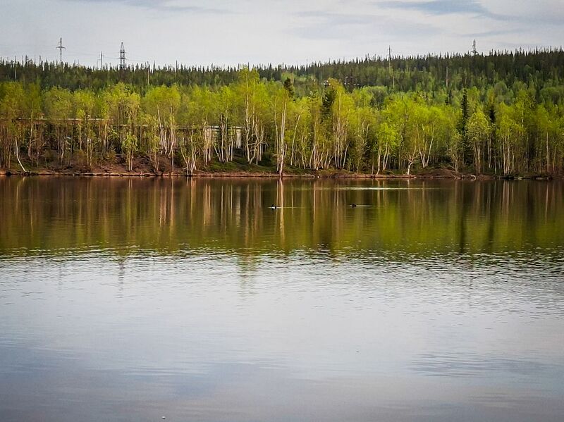 фото превью
