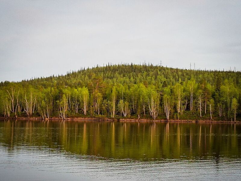 фото превью