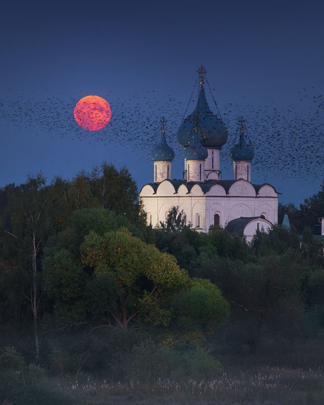 суздаль, полнолуние, архитектура Птицы в стаи собираются фото превью