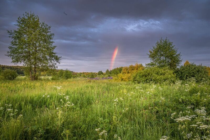 Выстрел в небо фото превью