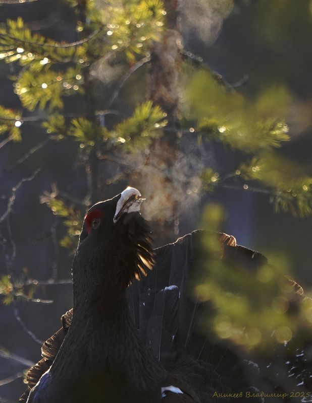 Иду курю... фото превью