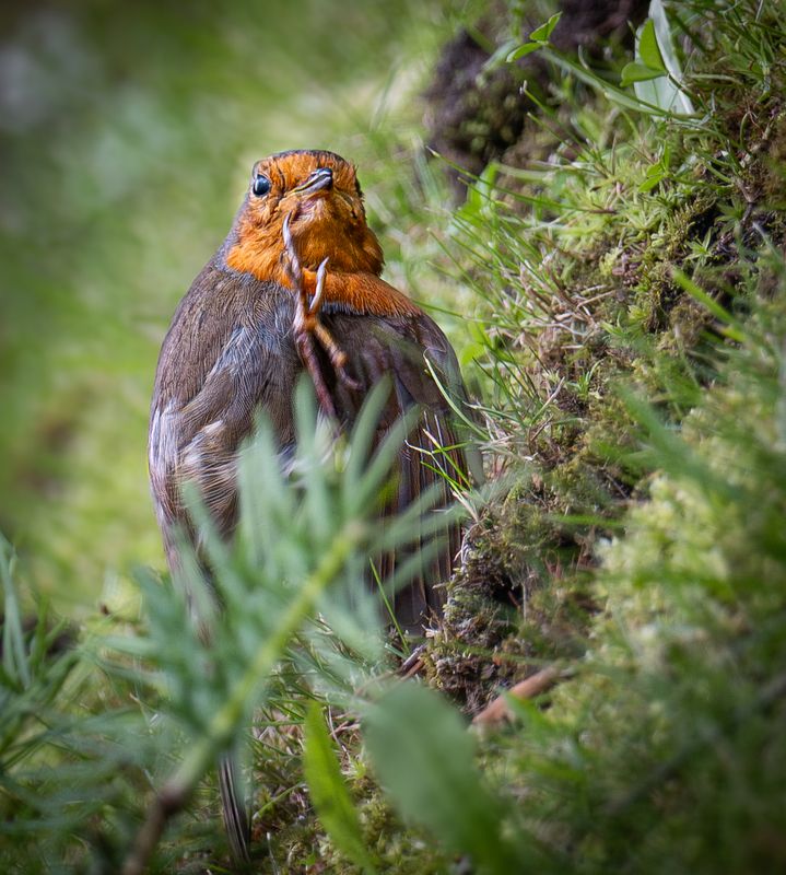 Привет... фото превью