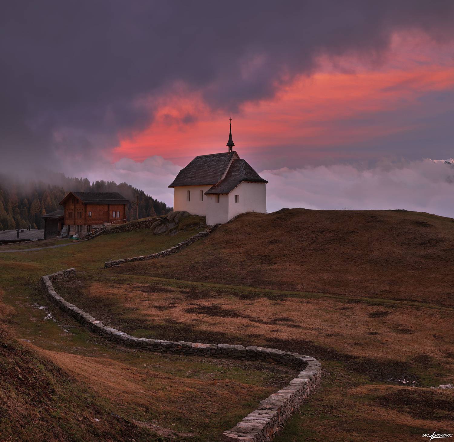 swiss, Матвеев Николай