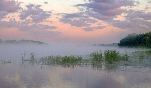 Утром на Оке.