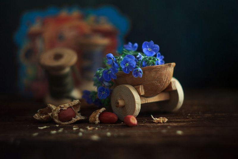 Вероника дубравная фото превью