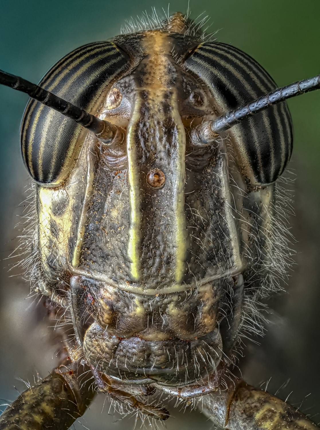 , Олег Савицкий