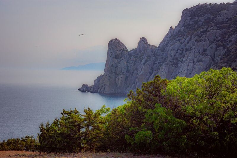 фото превью