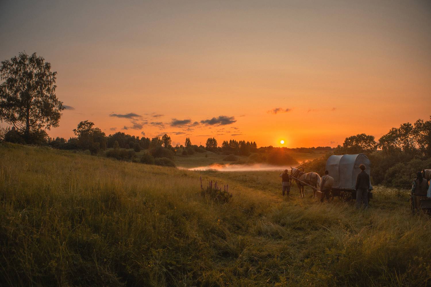 , Шепелева Татьяна