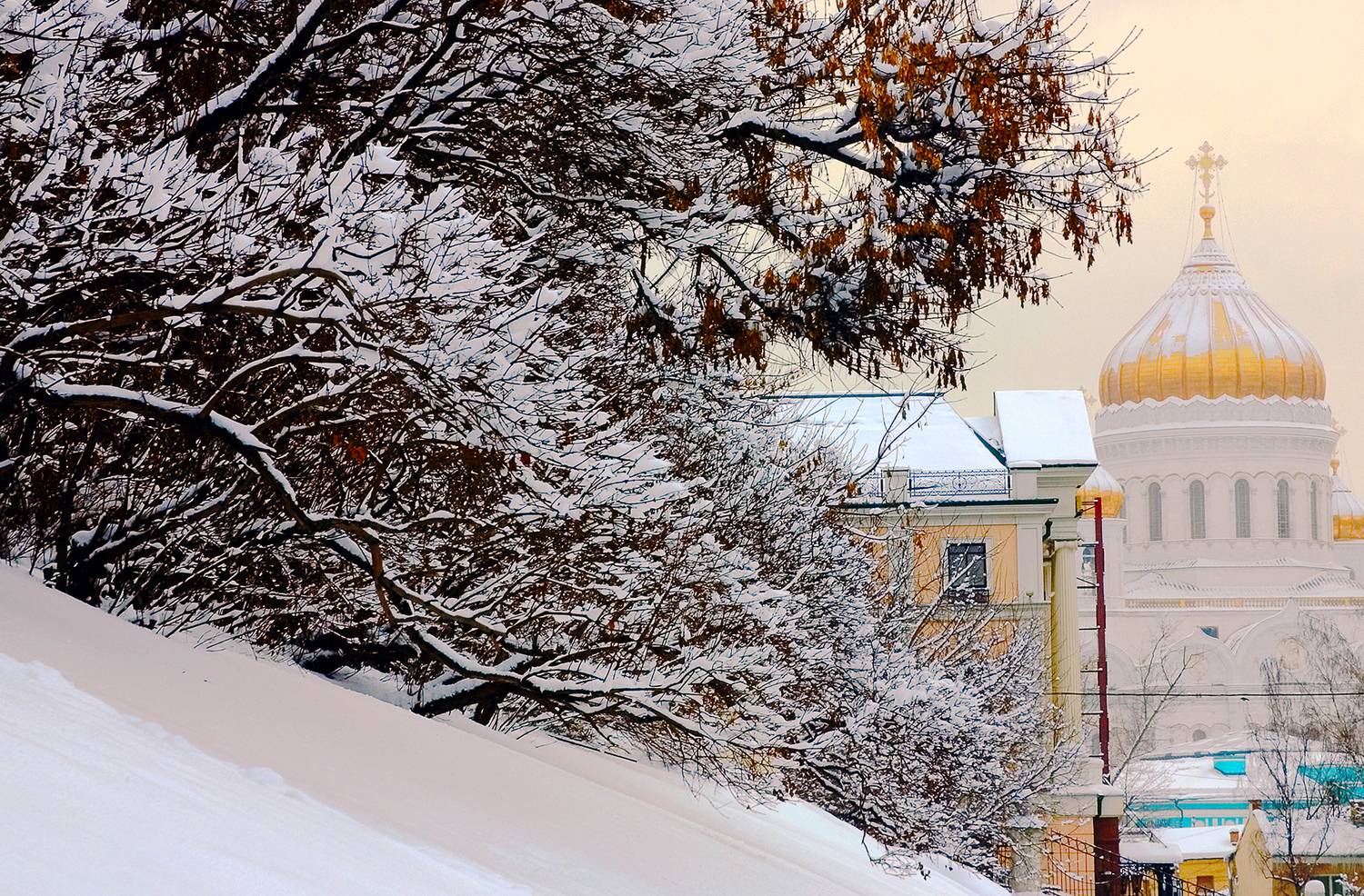 , Андрей Петросян