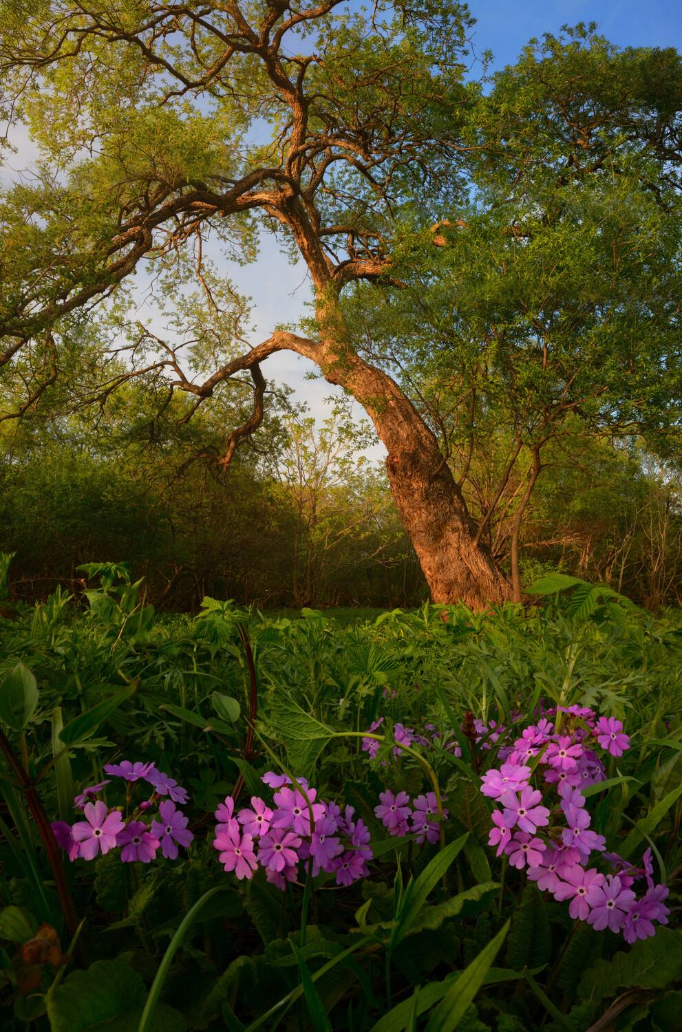 приморье, Едуш Сергей