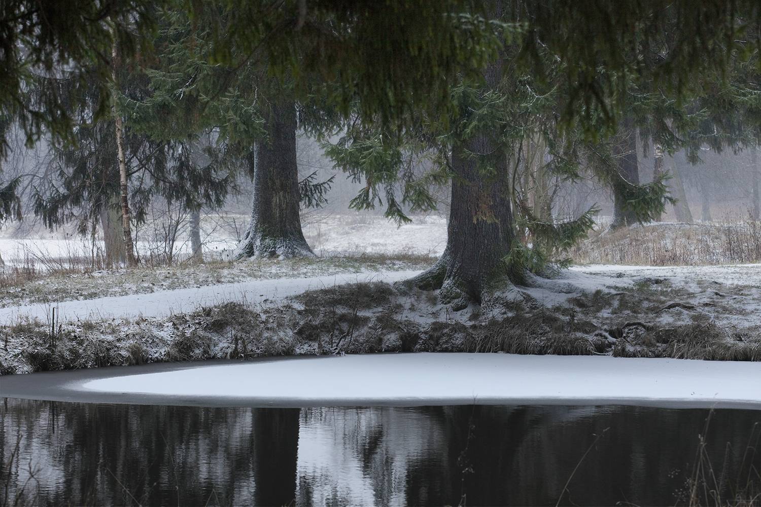 ,  александр михайлов