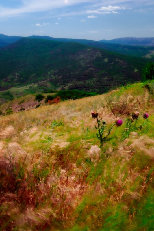 Масло фото превью