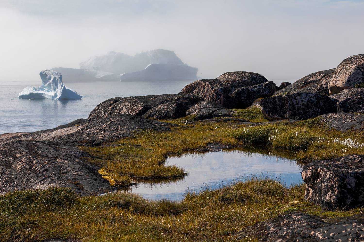 , Евгения Чех