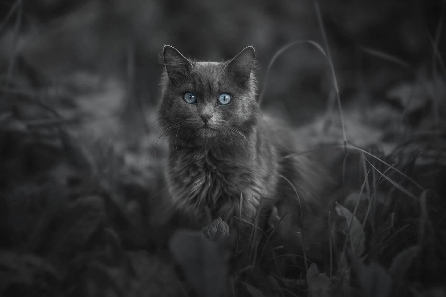 , Наталия Матвеева