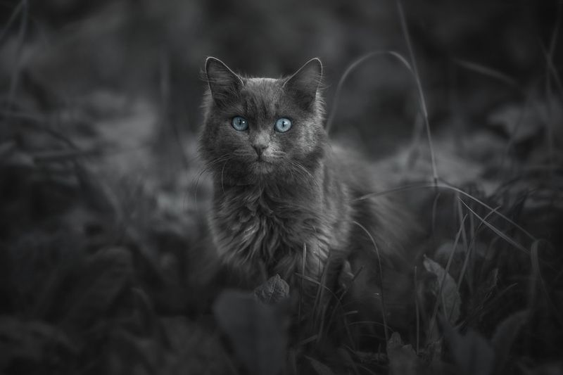 I\'m Sexy and I Know It фото превью