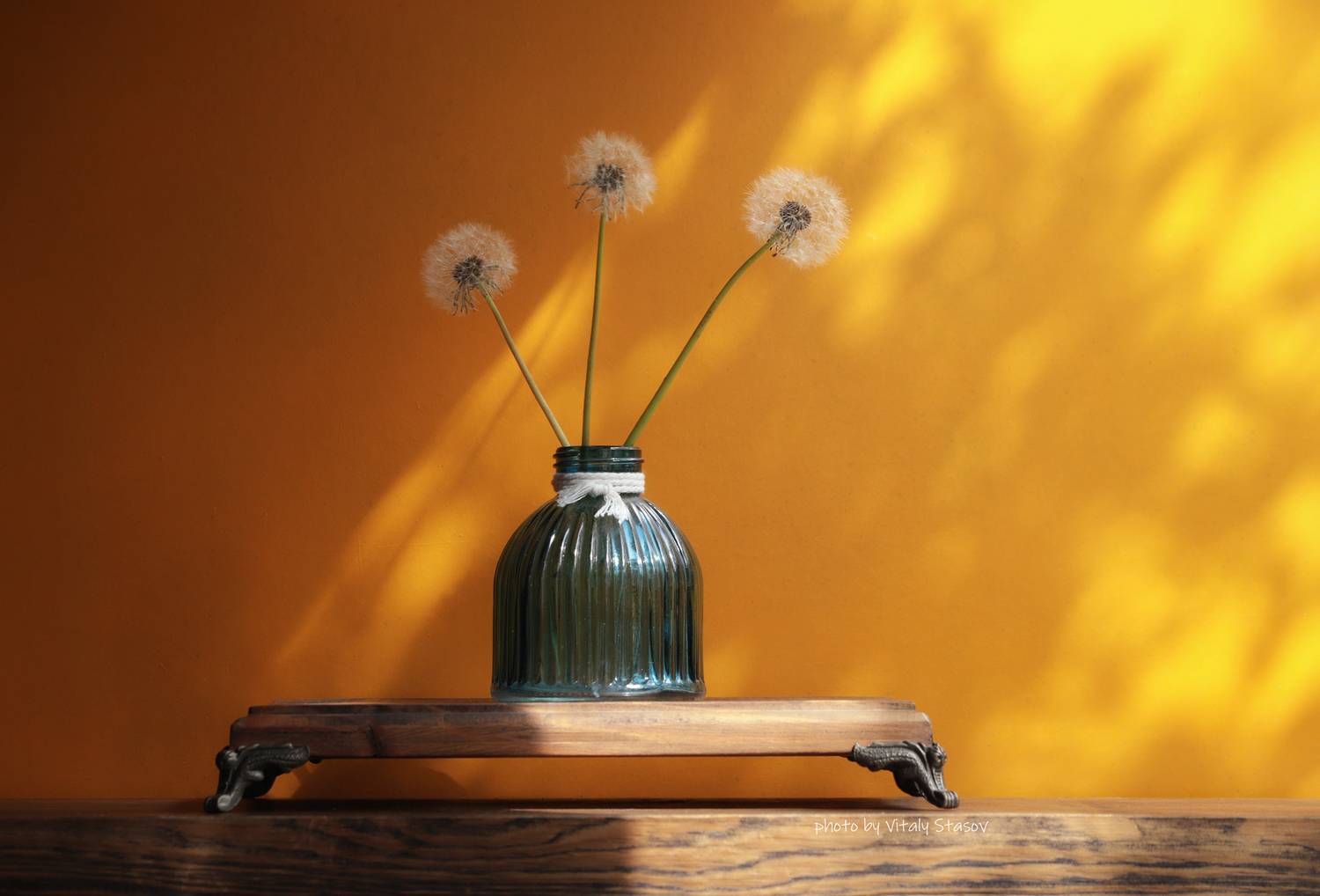 цветы, натюрморт, flowers, одуванчики, still life, flowers, Стасов Виталий