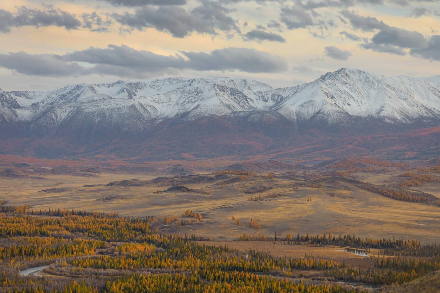 , Константин Буркин