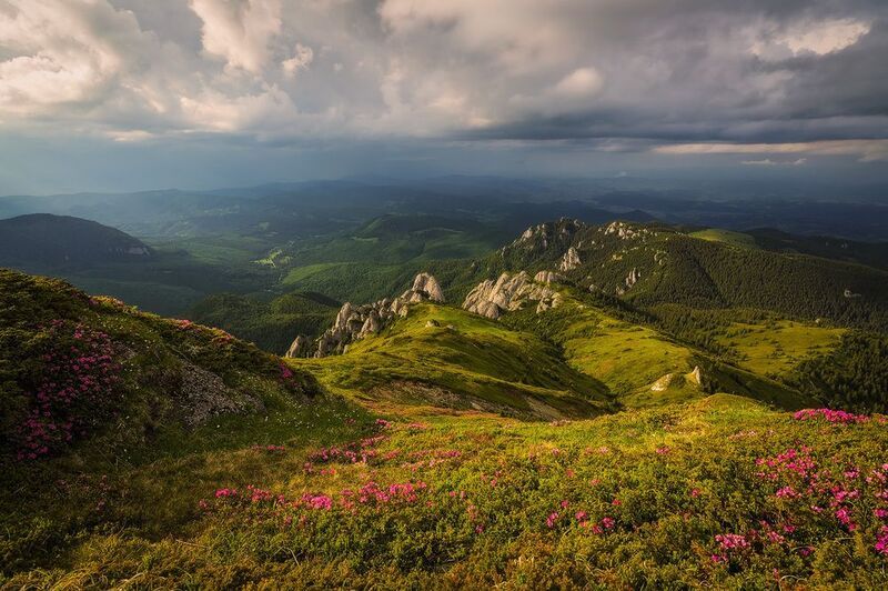 2025 фото превью