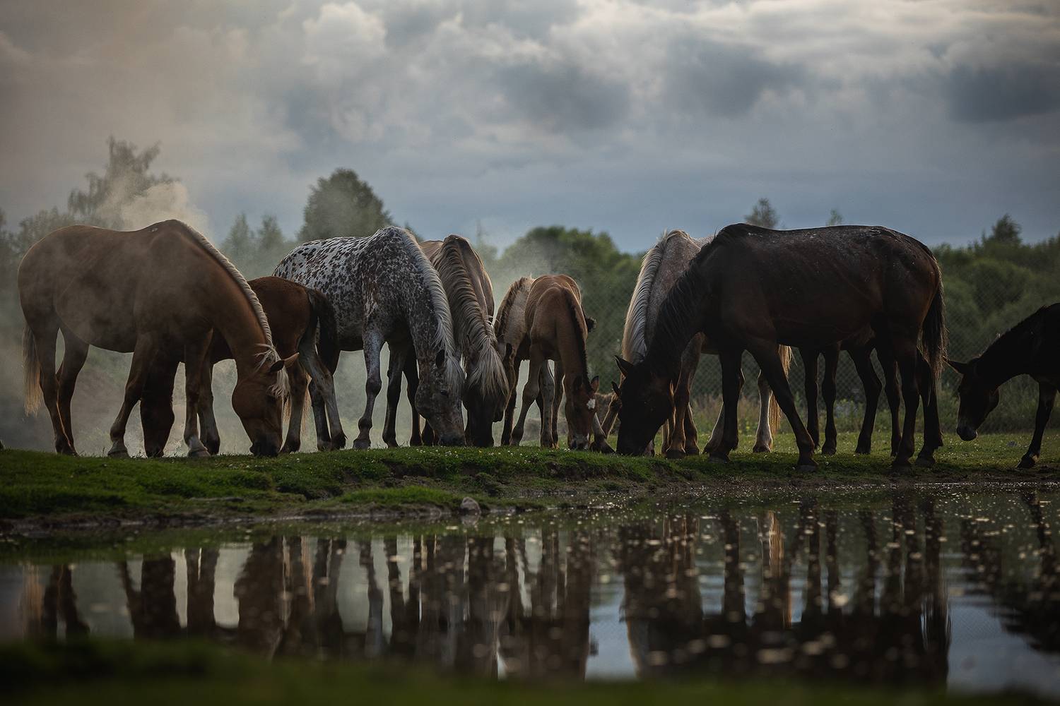 , Елена Самусенкова