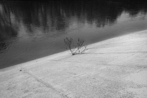 Выбрал свет