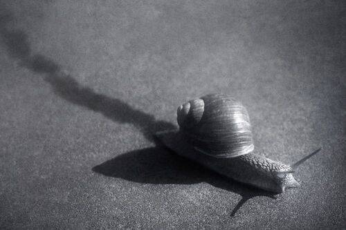 Рождённый ползать.