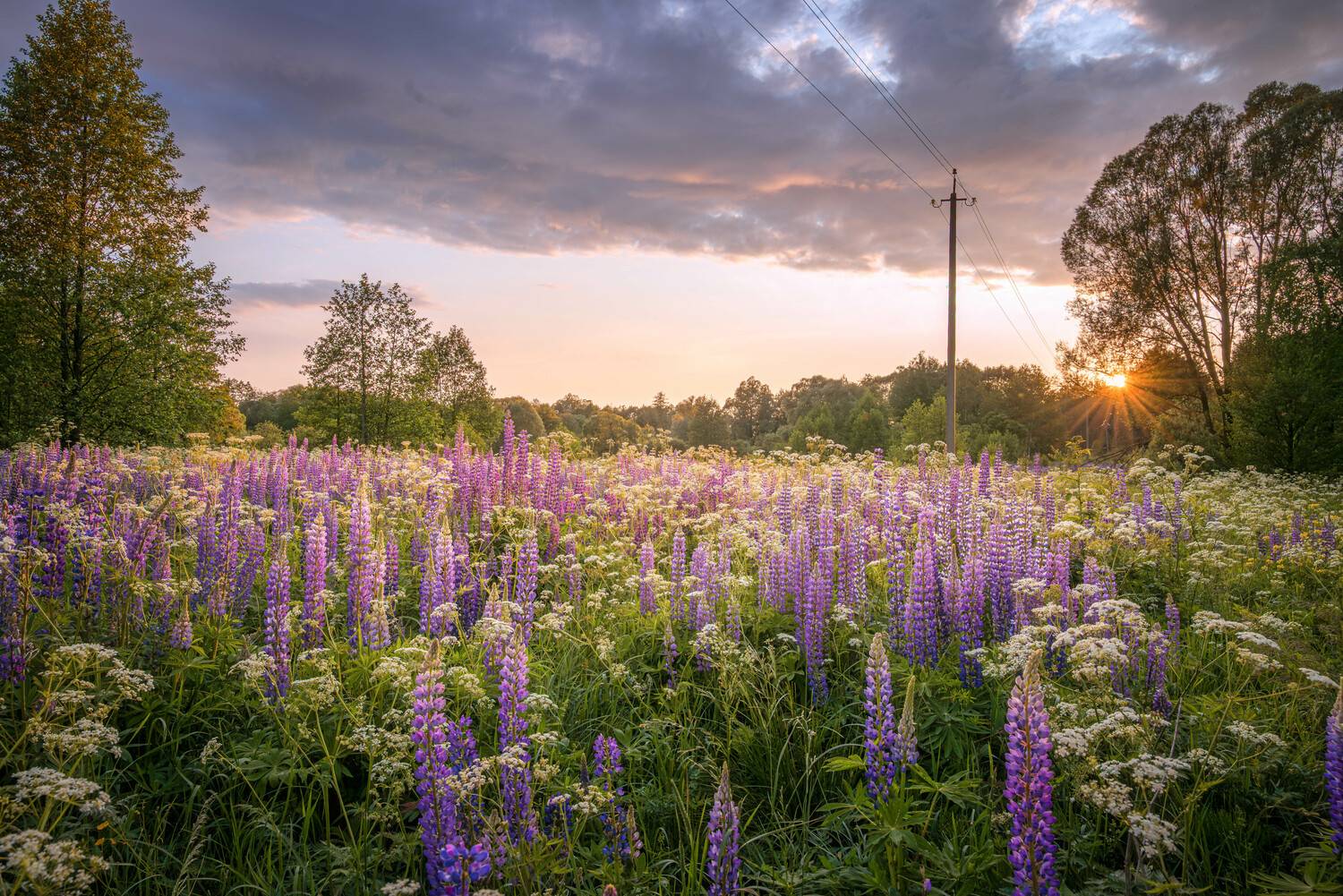 , Сережин Сережа
