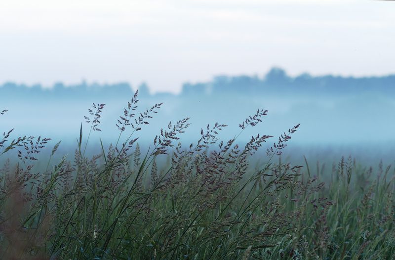 поле.вечер.туман Вечерело фото превью