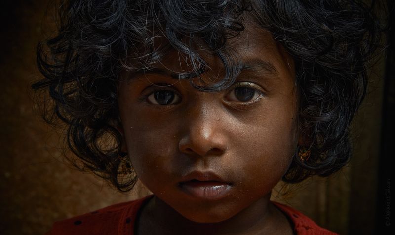 Много жизней и одна печенька фото превью