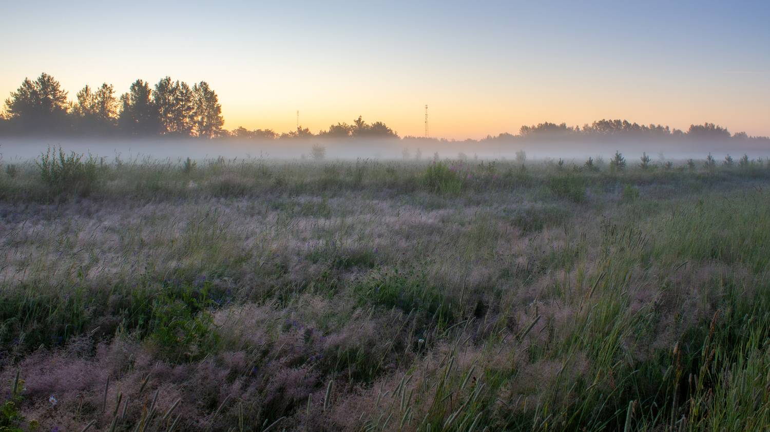 , Комарова Вера