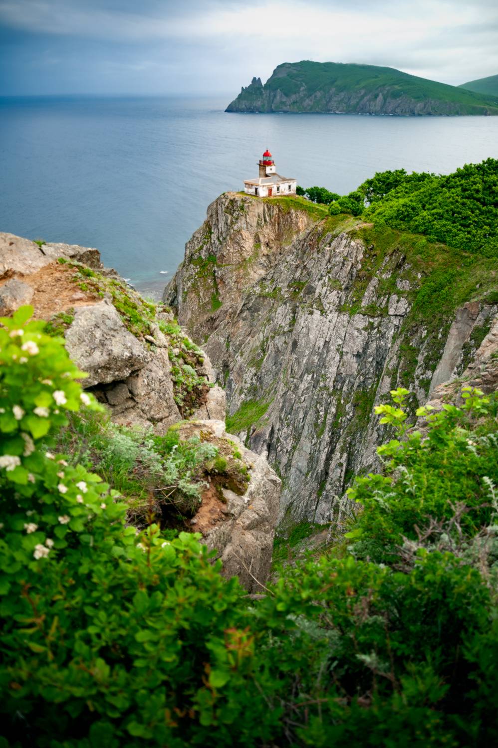 , Васильева Дарья